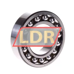 SKF 2209EKTN9