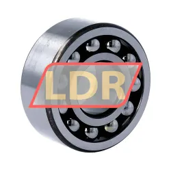 NSK 2305TNG rulman resim 2