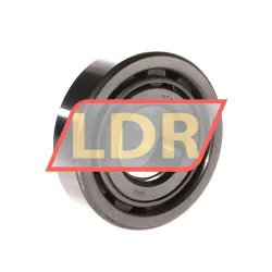 NTN 2209C3 rulman resim 2