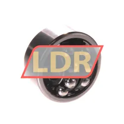 NSK 2201 rulman resim 3