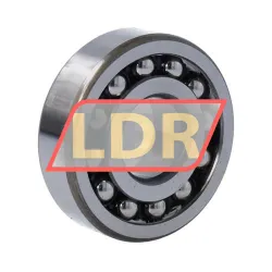 NSK 1304TNG rulman resim 2