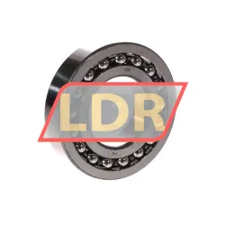 SNR 1208