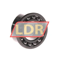 ZKL 2206K rulman resim 2