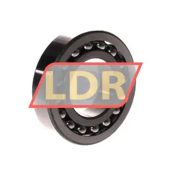 ZKL 1207K rulman resim 2