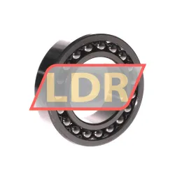 ZKL 2210K rulman resim 2