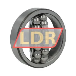 ZKL 1309K NF rulman resim 3