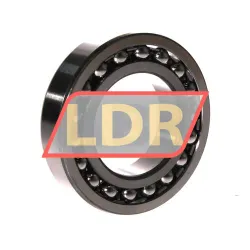 ZKL 1210 rulman resim 2