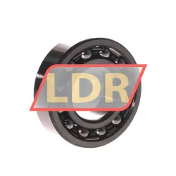 ZKL 1205 rulman resim 2