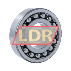 ZKL 1309K rulman resim 2
