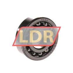 SKF 1204