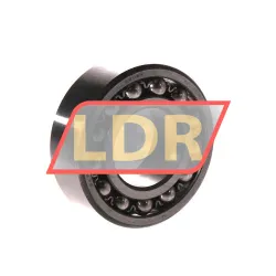 SKF 2205K