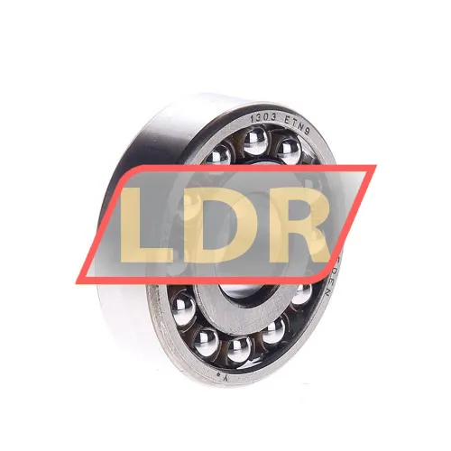 SKF 1303ETN9