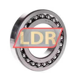 SKF 1213TN9/C3