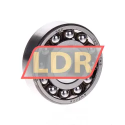 SKF 1204EKTN9
