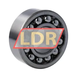 SKF 2308