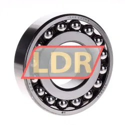 SKF 1309EKTN9