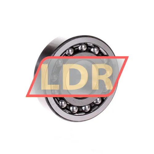 SNR 1306
