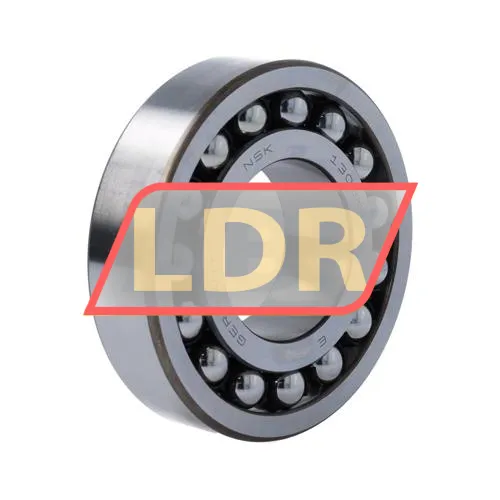 NSK 1309K TNG