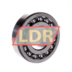 SNR 1308
