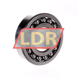 SNR 1309 J30
