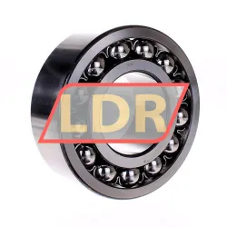 SNR 2315