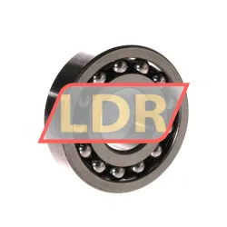 NTN 1306 rulman resim 2