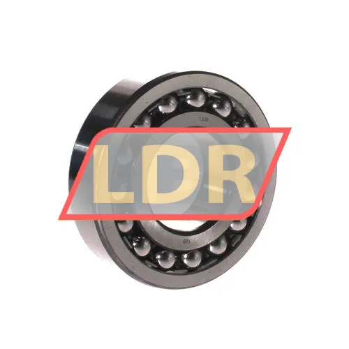 SNR 1309