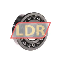 SNR 1309