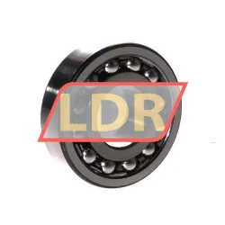 ZKL 1305K rulman resim 2