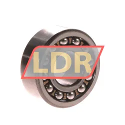 NSK 1309KTNGC3