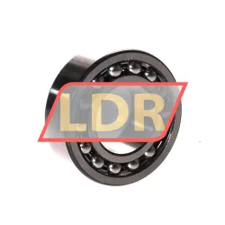ZKL 2204K rulman resim 2