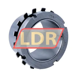 Timken H313