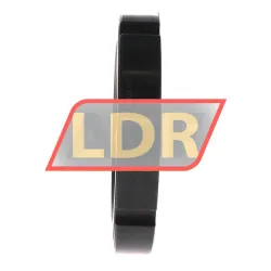 INA ZM100 rulman resim 2