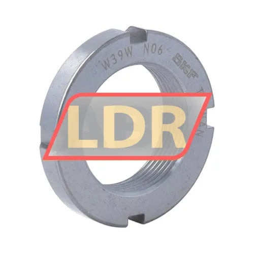 SKF N06