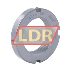 SKF N06