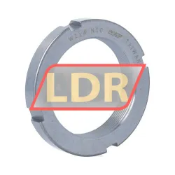 SKF N10
