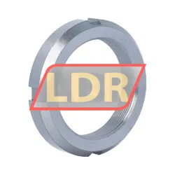 SKF N10 rulman resim 2