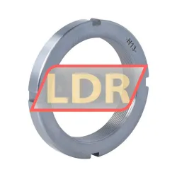 SKF N13