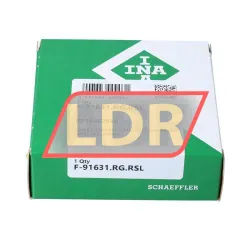 INA F-91631-RG-RSL rulman resim 2