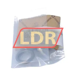 INA LFE15-1-RB
