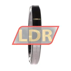 INA CSXG060-HLE rulman resim 3