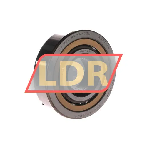 SKF QJ309N2MA/C2L
