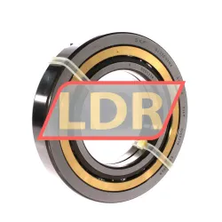 SKF QJ220N2MA