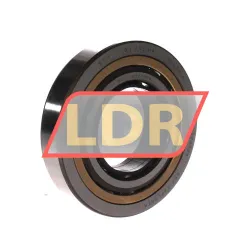 SKF QJ213MA