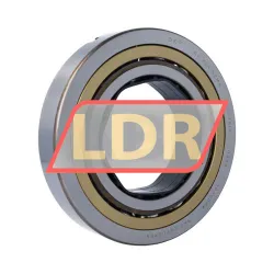 SKF QJ224N2MA