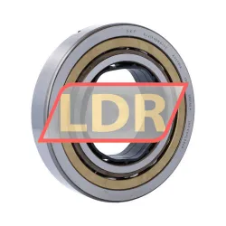 SKF QJ219N2MA/C3