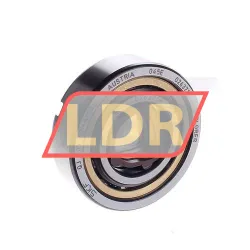 SKF QJ205N2MA/C2L