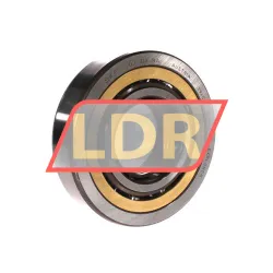 SKF QJ313MA