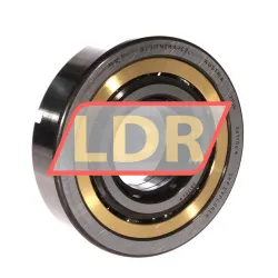 SKF QJ311N2MA/C2L