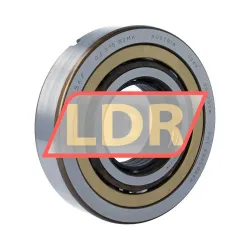 SKF QJ315N2MA